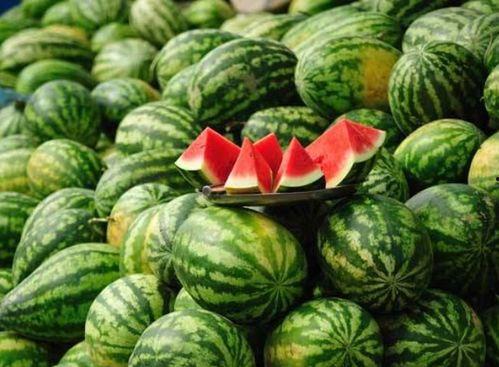 青海网红吃瓜事件真相揭秘,揭秘背后真相与争议  第2张