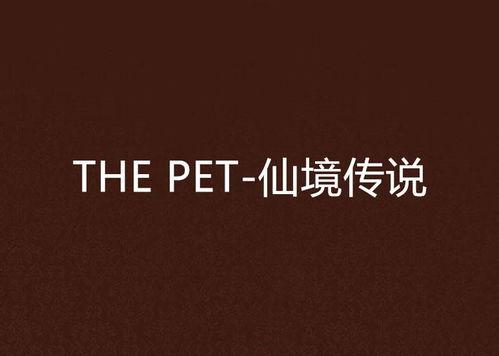 the pet在线观看,跟随the pet在线之旅  第1张